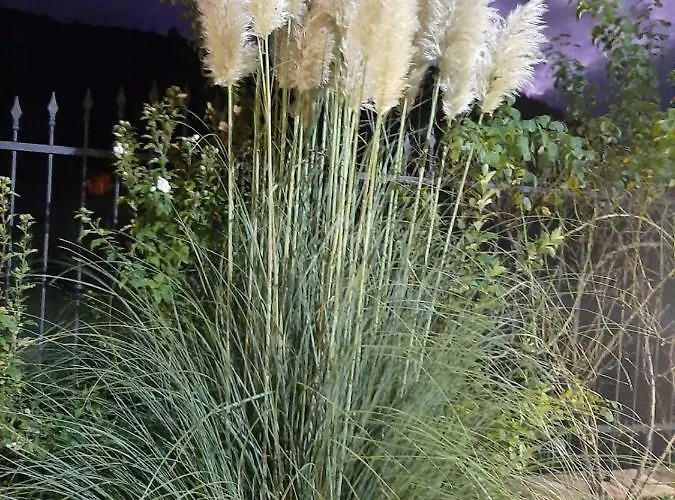 Фермерский дом Le Stanze Di Bacco