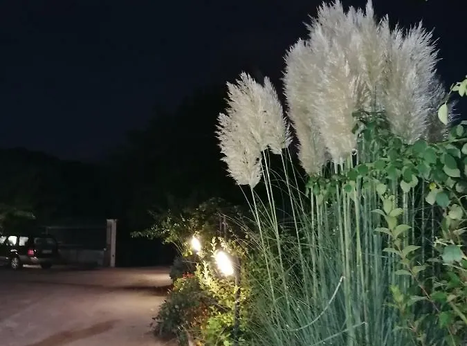 Farma Le Stanze Di Bacco